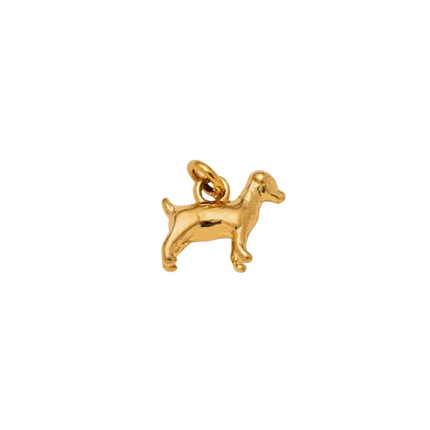 Doggy