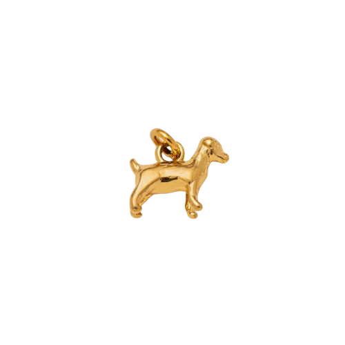 Doggy