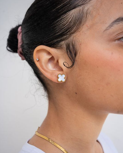 White Clove Studs